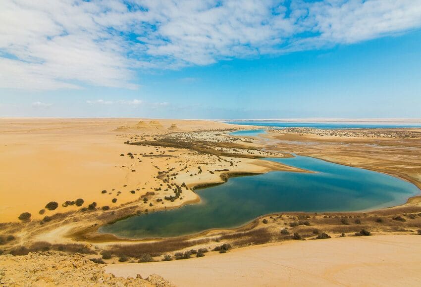 2-Day Tour: Cairo and Fayoum Oasis Adventure